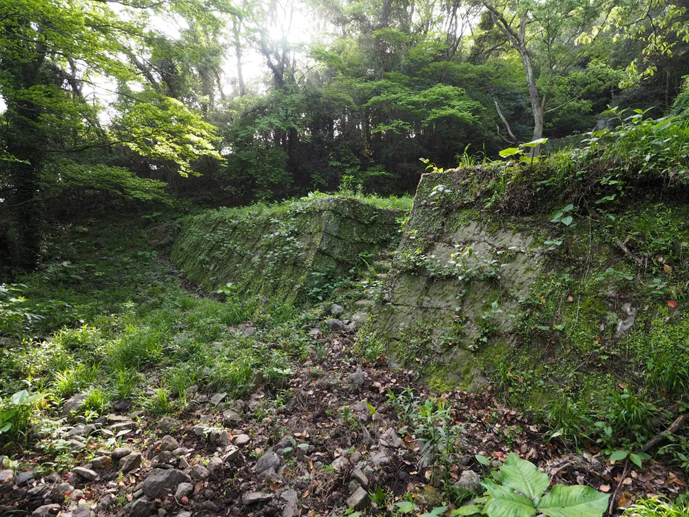 魚見岳台場 下ノ段石垣と石段E