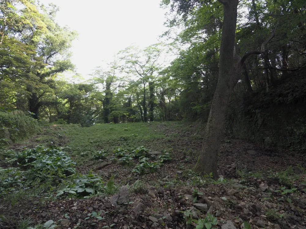 魚見岳台場 下ノ段