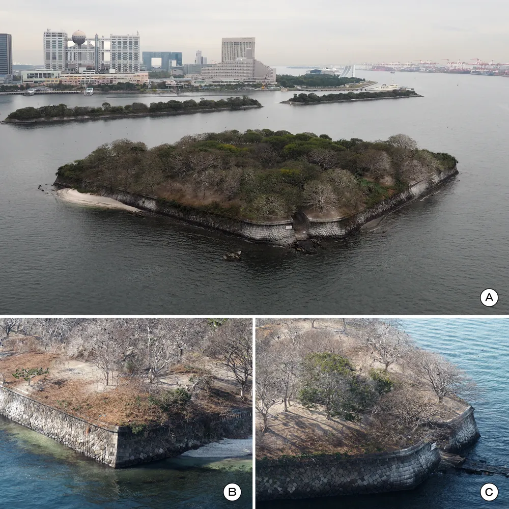 品川第六台場