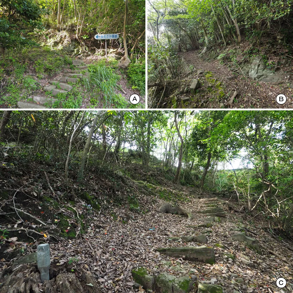 魚見岳台場 登城道