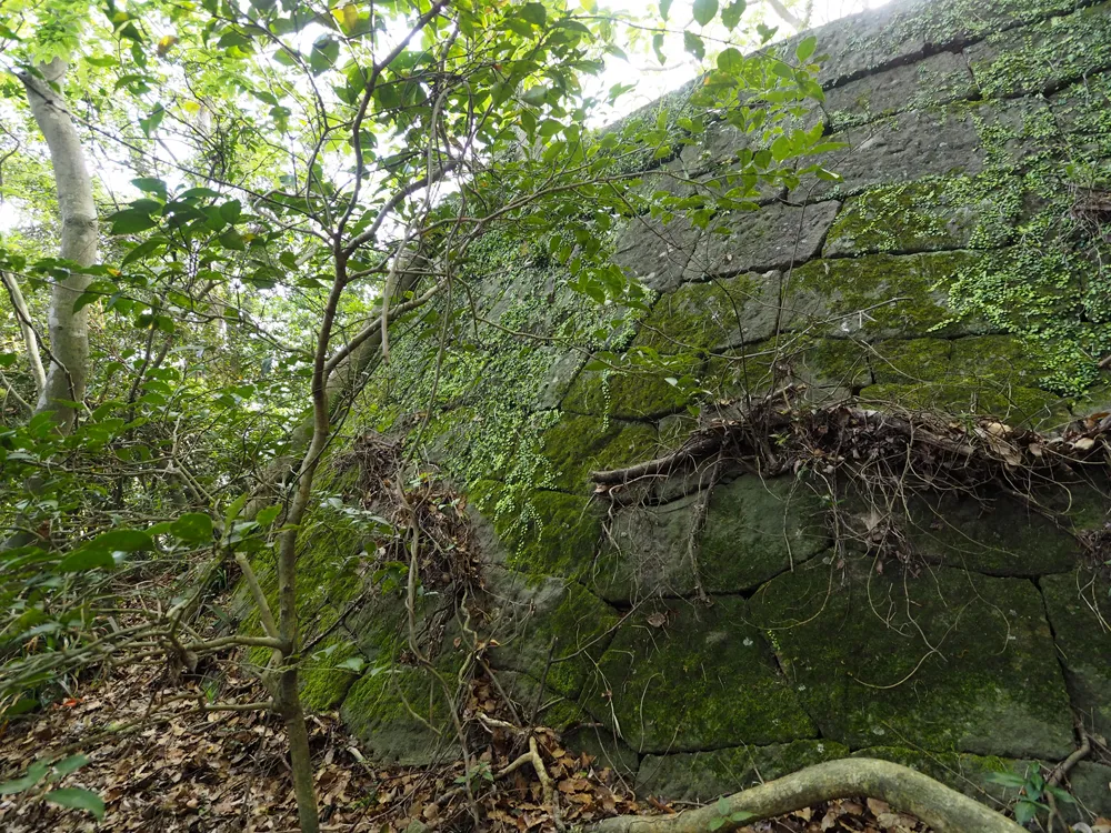 魚見岳台場 三ノ増台場北西隅石垣