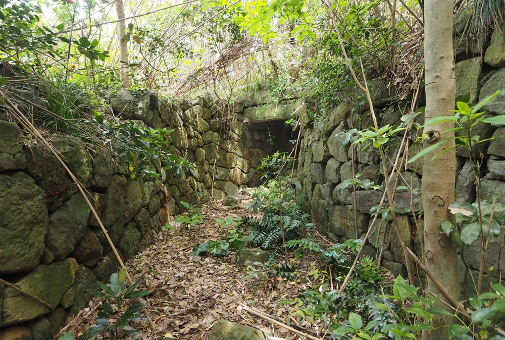 四郎ヶ島台場 四郎ヶ島地区山上(上段)西側 埋門