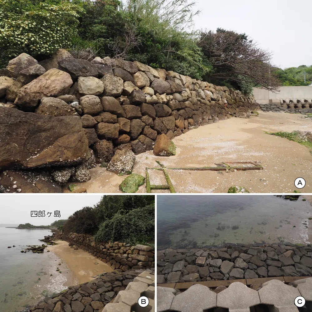 四郎ヶ島台場 連絡道 神ノ島東側石垣(石垣H)