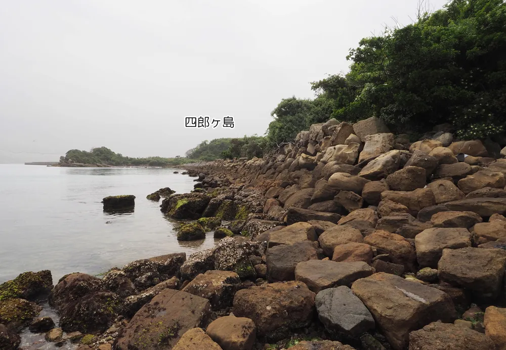 四郎ヶ島台場 連絡道 神ノ島側接続部東側石垣(石垣H)