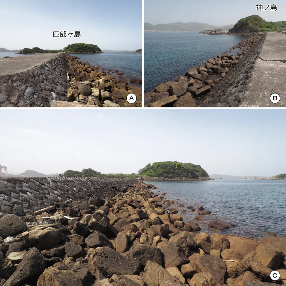 四郎ヶ島台場 連絡道 西側石垣(石垣G)