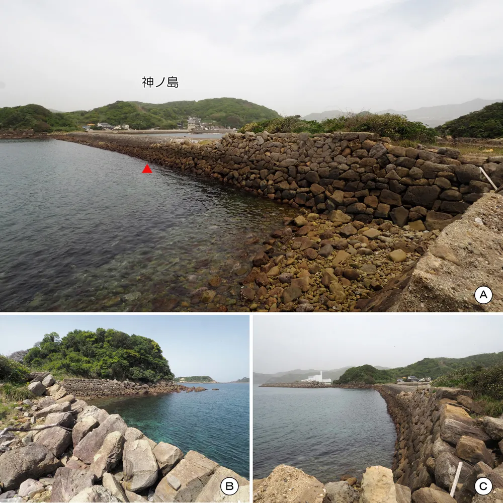 四郎ヶ島台場 連絡道 四郎ヶ島側接続部西側石垣(石垣G)