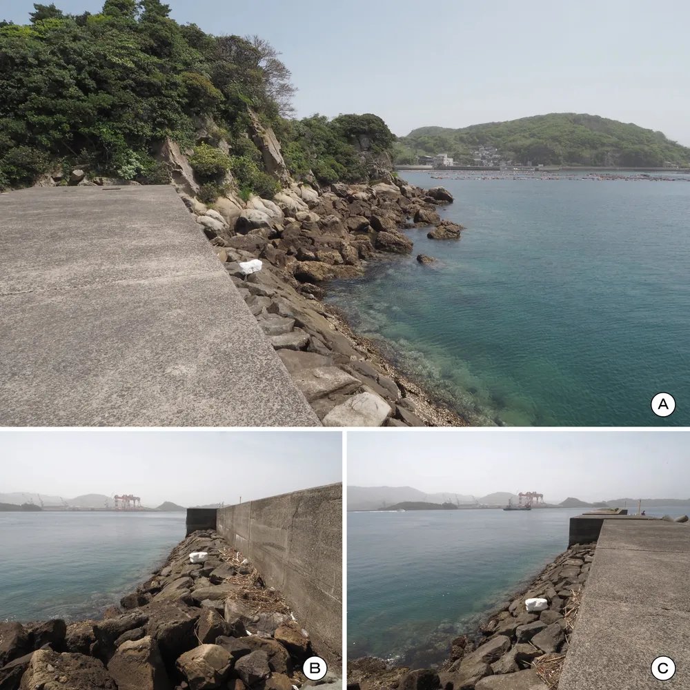 四郎ヶ島台場 小島地区突堤(石垣I)