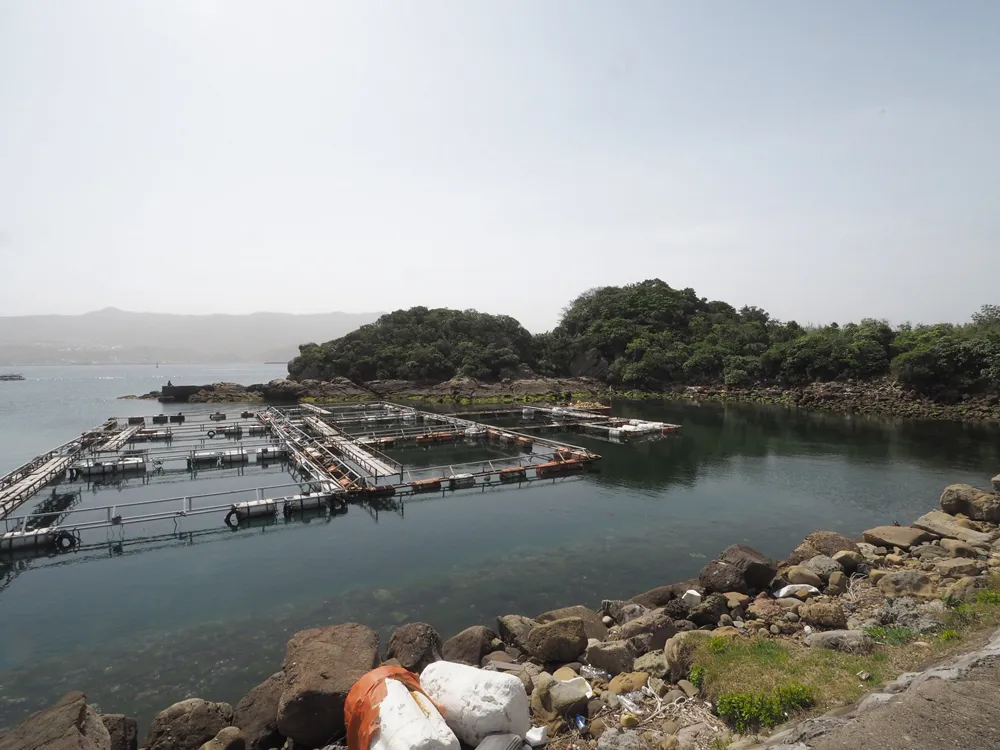 四郎ヶ島台場 連絡道から小島側