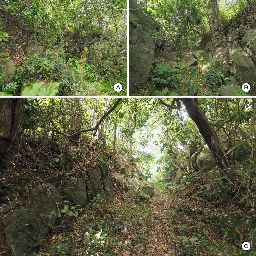 四郎ヶ島台場 四郎ヶ島地区山上(上段) 北東虎口